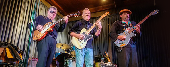 Texas Blues Guitar Summit (USA) UDSLOGT